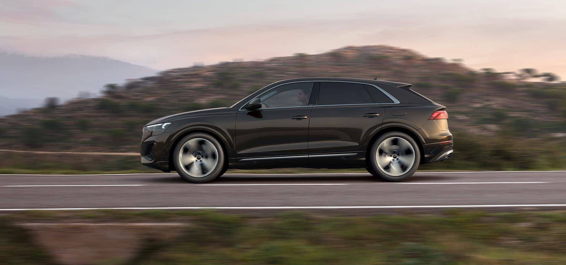 consumo Audi Q8 SUV TFSIe